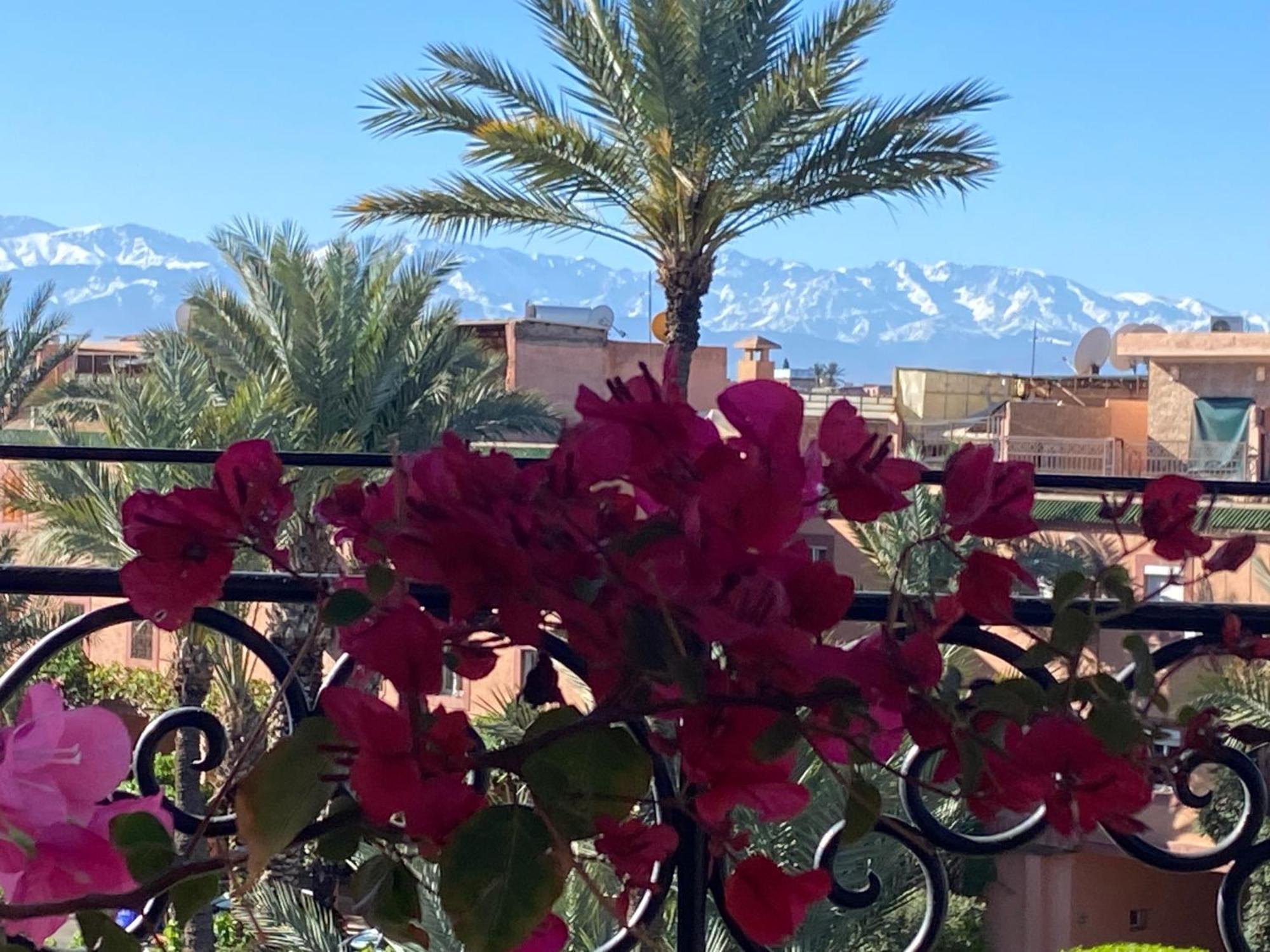 Riad Palmier Fleuri Marrakesh Eksteriør bilde