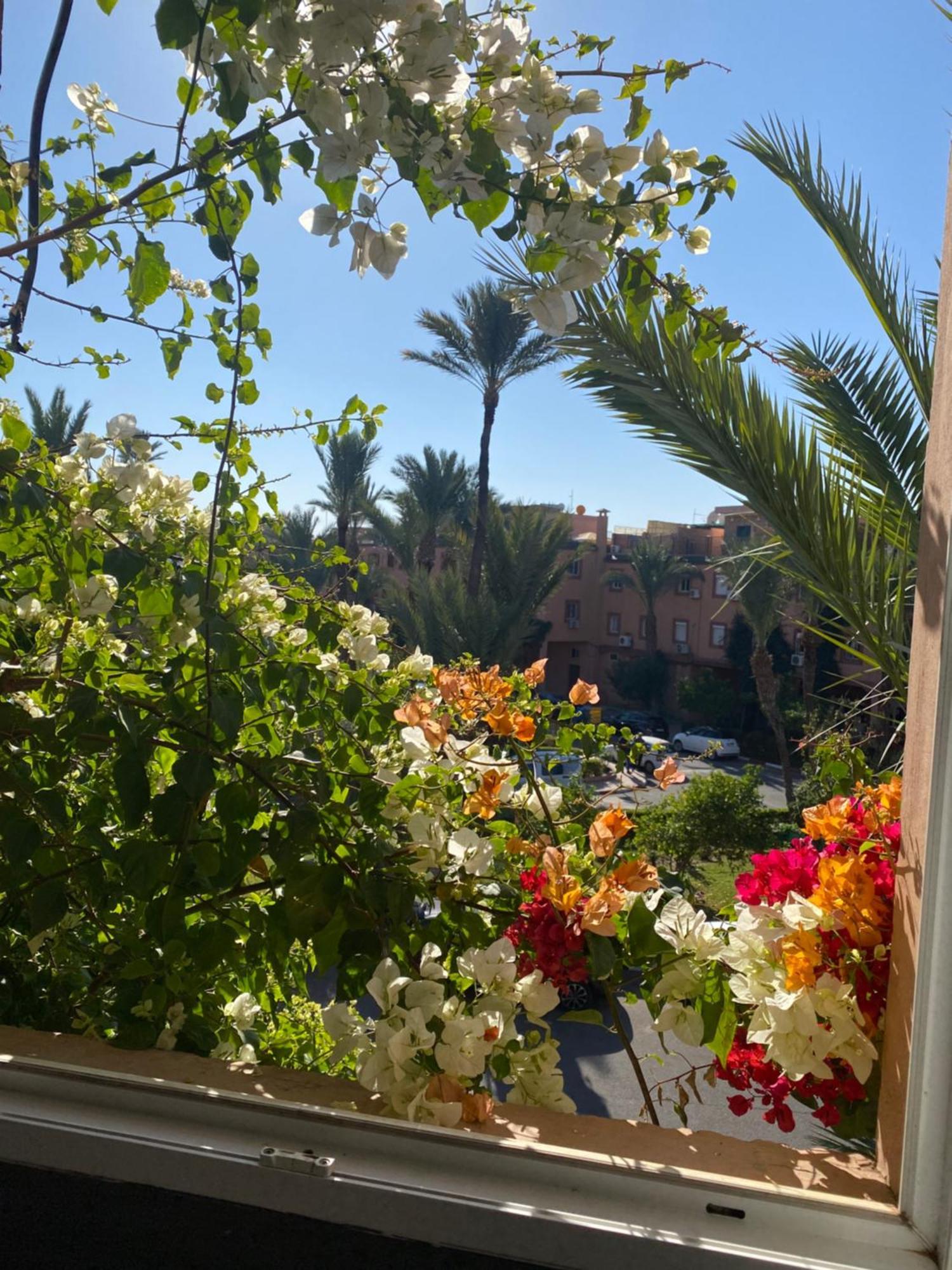 Riad Palmier Fleuri Marrakesh Eksteriør bilde