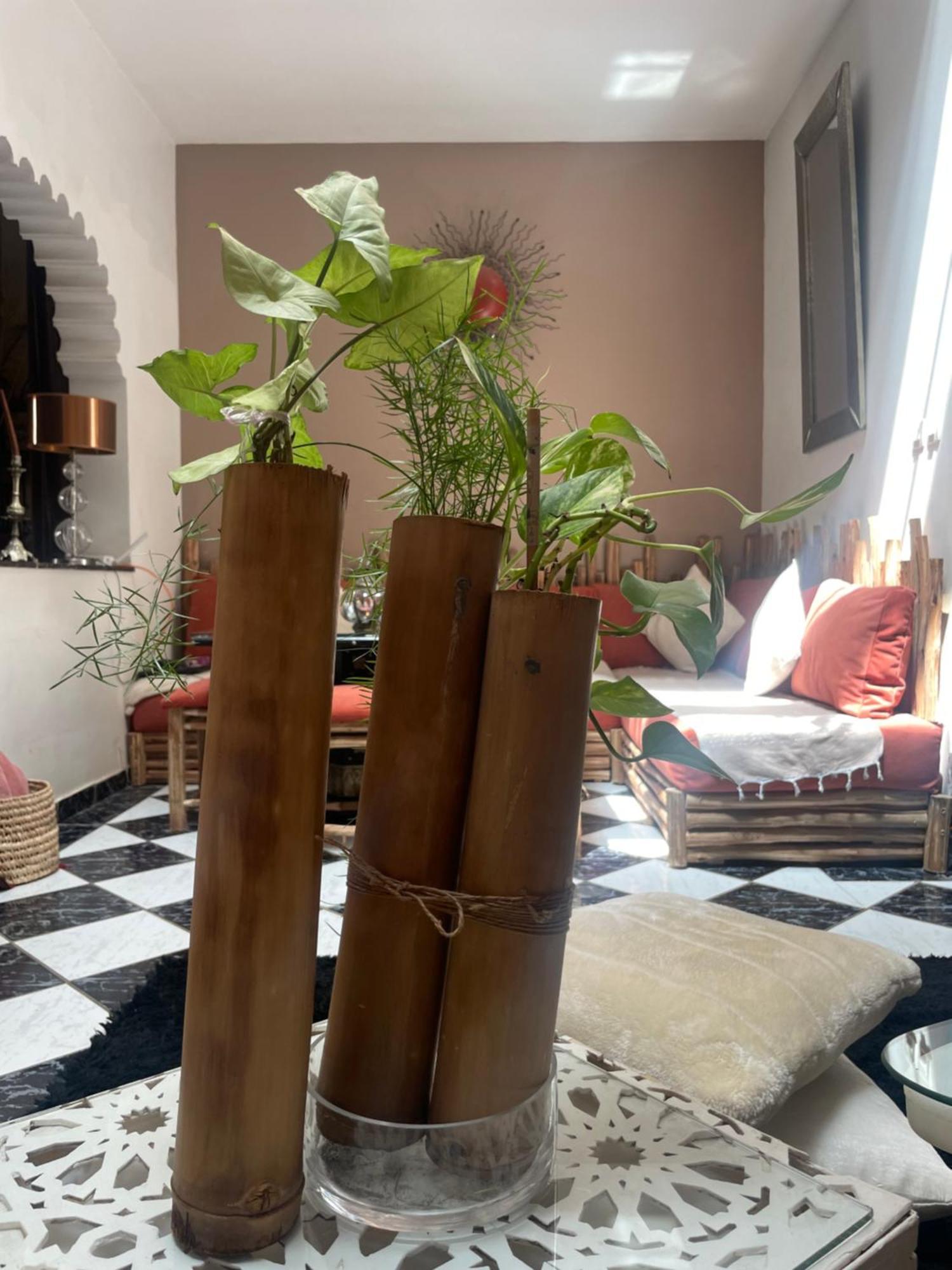 Riad Palmier Fleuri Marrakesh Eksteriør bilde